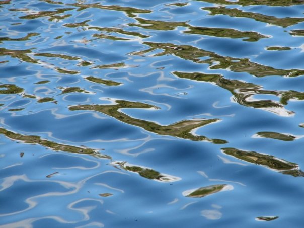 I’m Programmed to React Like a Three Year Old