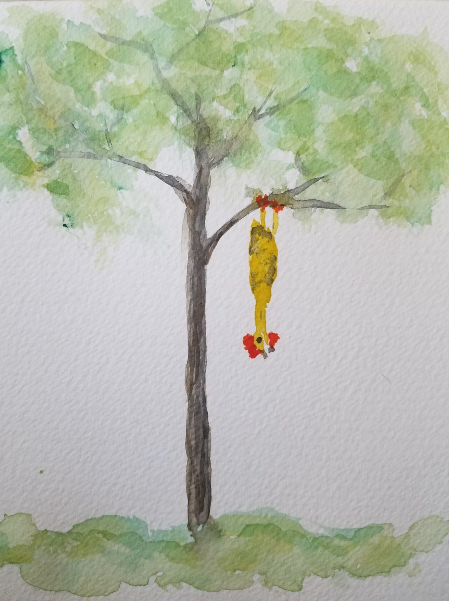 Ode To A Tiny Rubber Chicken